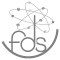 logo-FDS